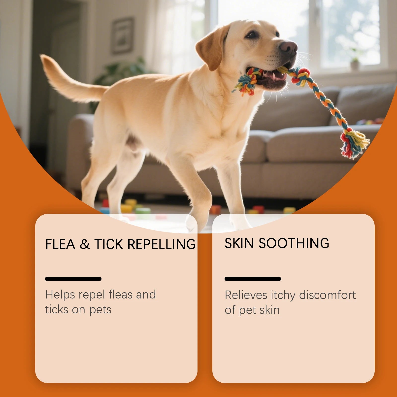 Anti Flea Pet Shampoo
