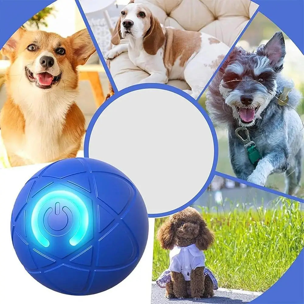 USB Rechargeable Dog Ball Toy