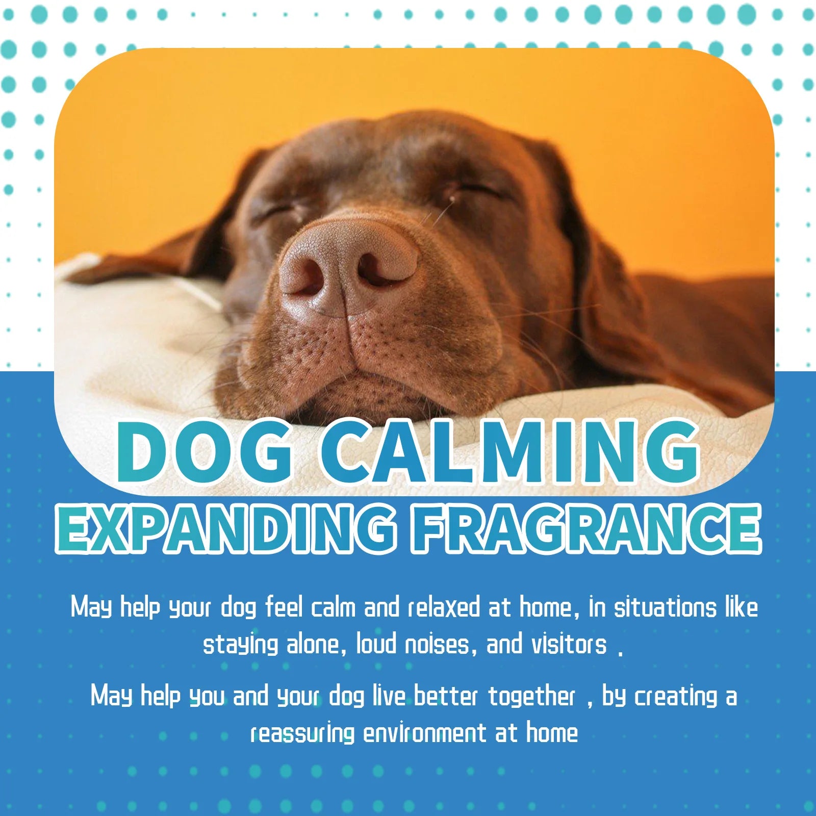 Dog Anxiety Relief Diffuser