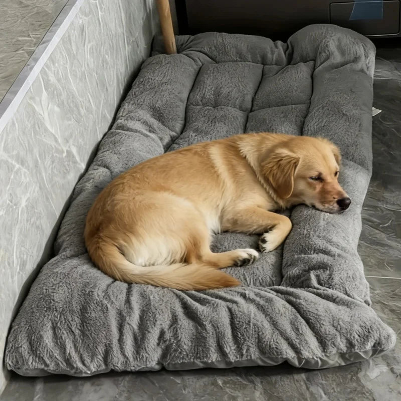 Extra Large Dog Bed