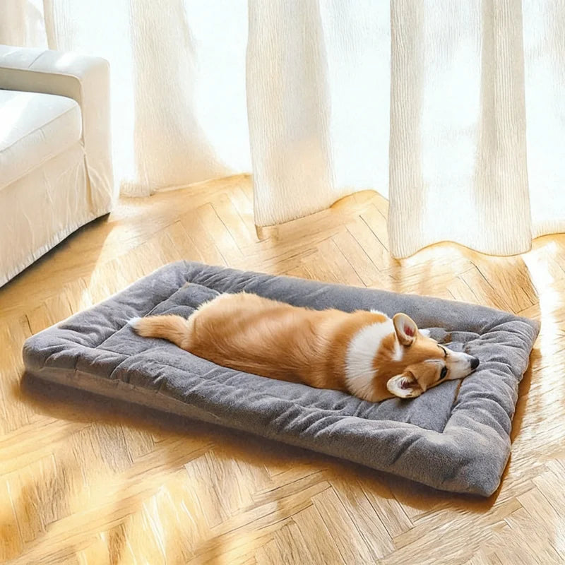 Extra Large Dog Bed