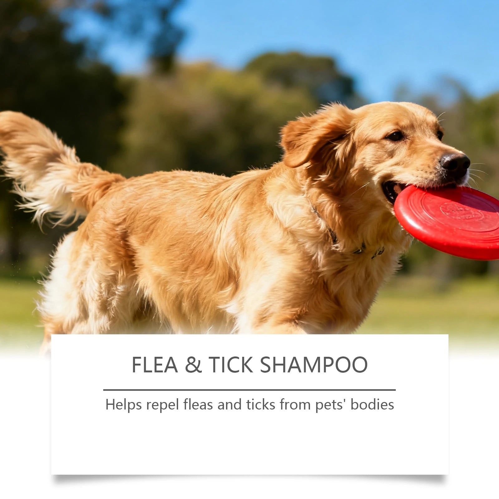 Anti Flea Pet Shampoo
