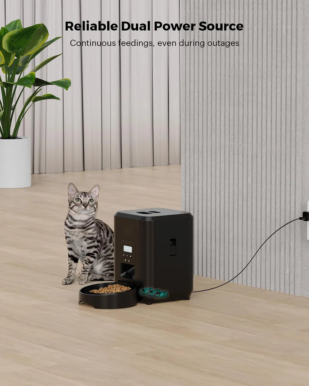 Automatic Pet Feeder with LCD Display & WiFi Control | Cat & Dog Food Dispenser
