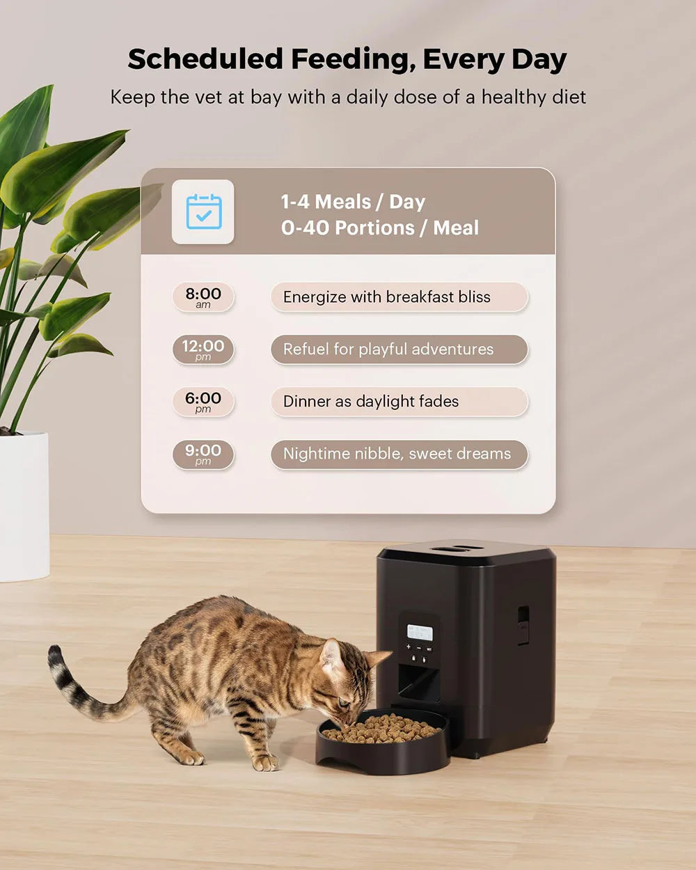Automatic Pet Feeder with LCD Display & WiFi Control | Cat & Dog Food Dispenser