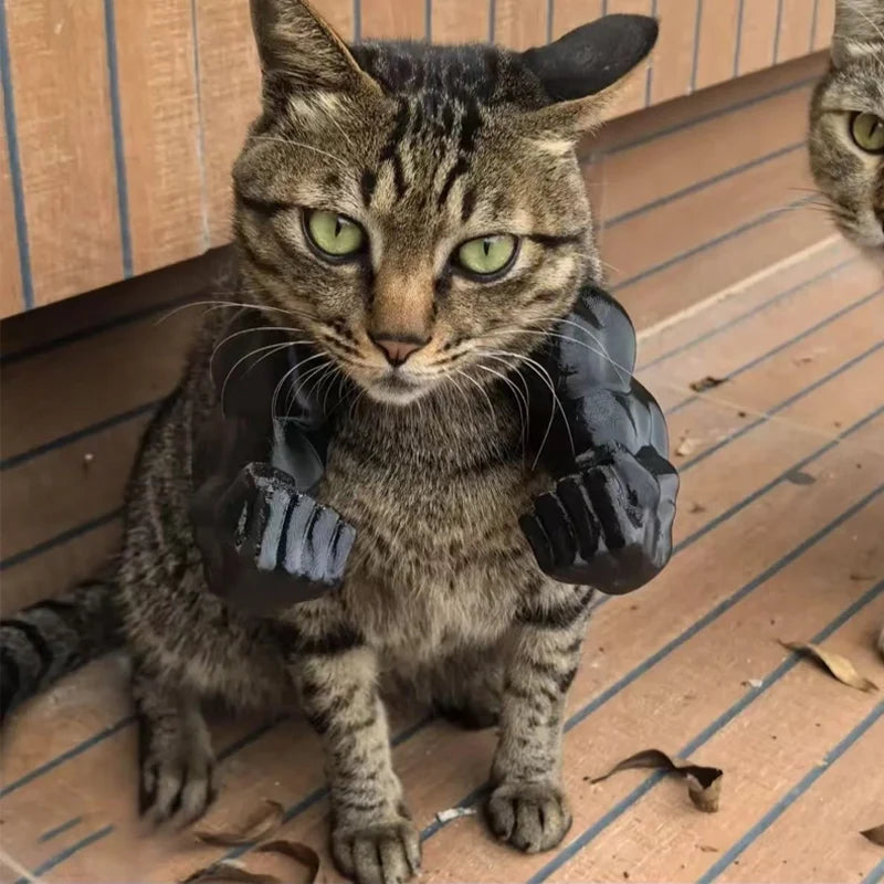 3D Printed Cat Muscle Arm Costume – Funny Pet Cosplay Accessory
