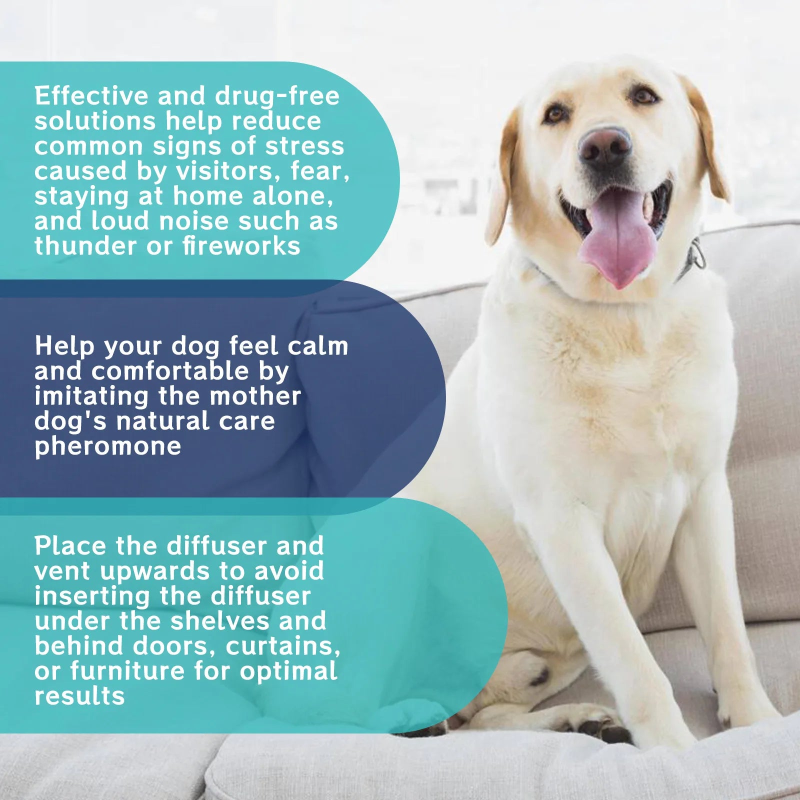 Dog Anxiety Relief Diffuser