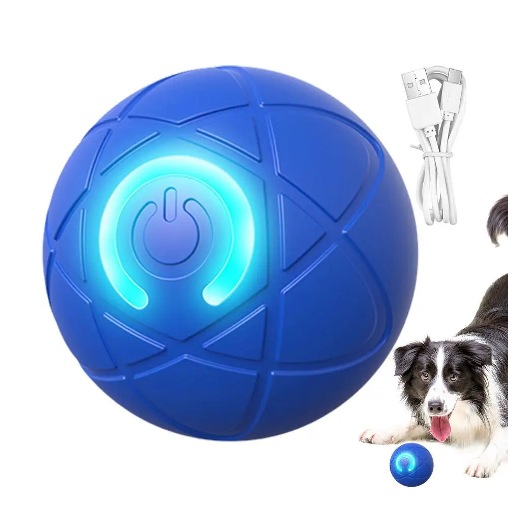 USB Rechargeable Dog Ball Toy