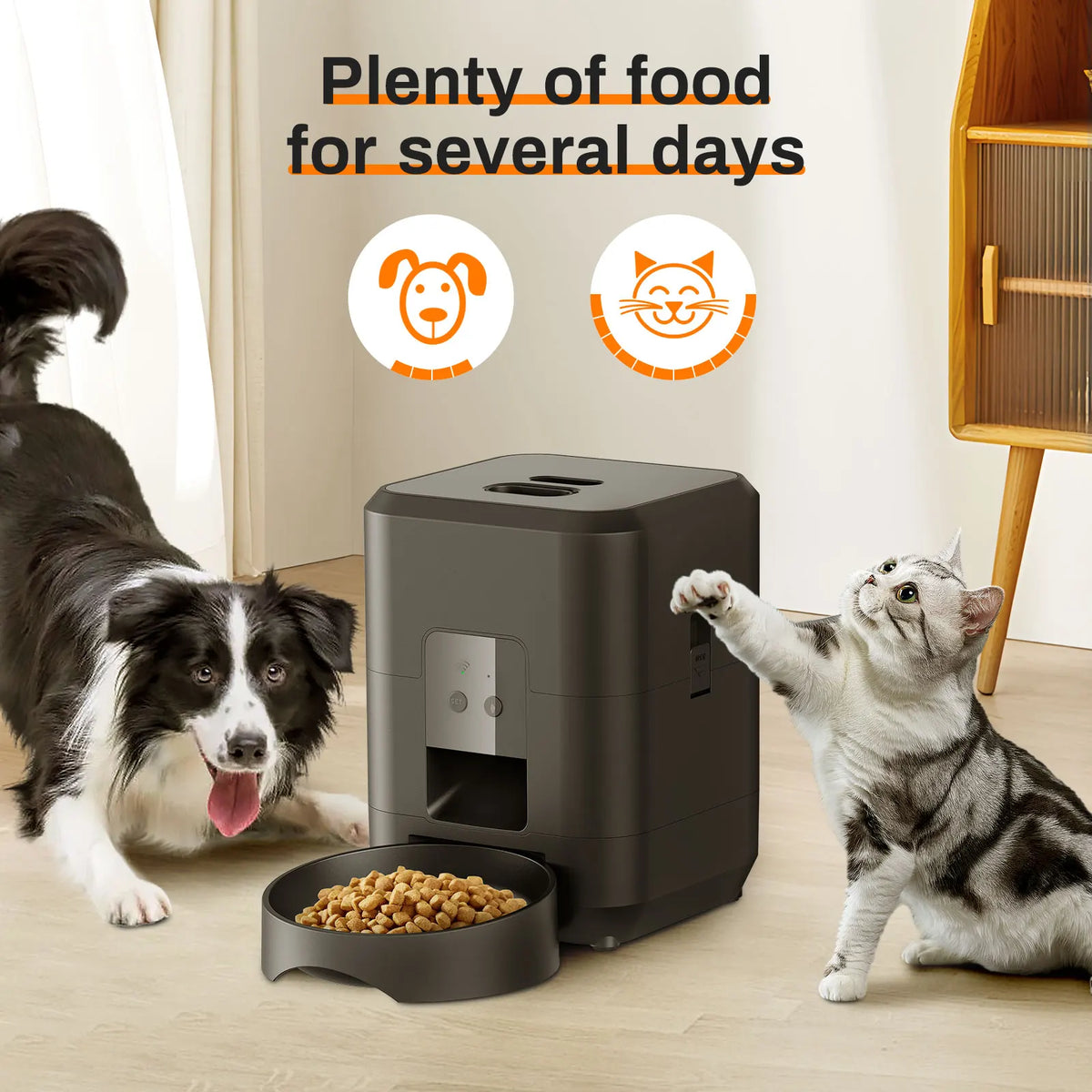 Automatic Pet Feeder with LCD Display & WiFi Control | Cat & Dog Food Dispenser