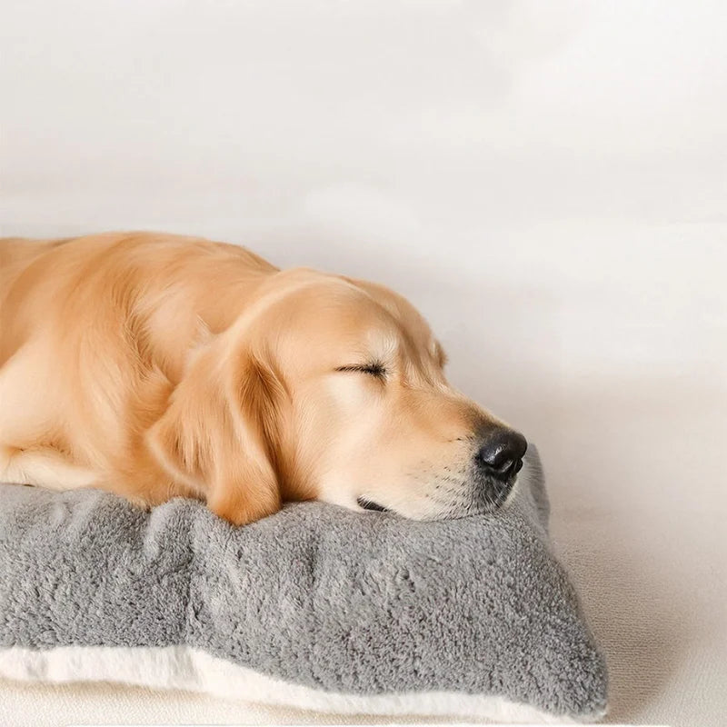 Extra Large Dog Bed