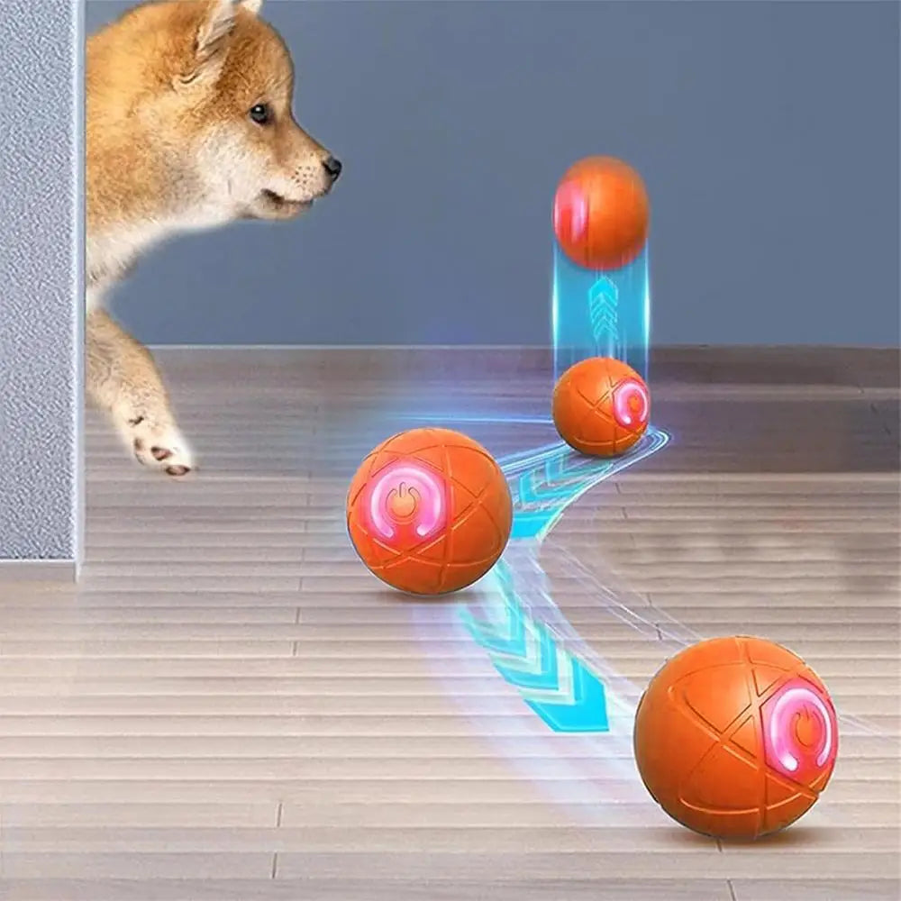USB Rechargeable Dog Ball Toy
