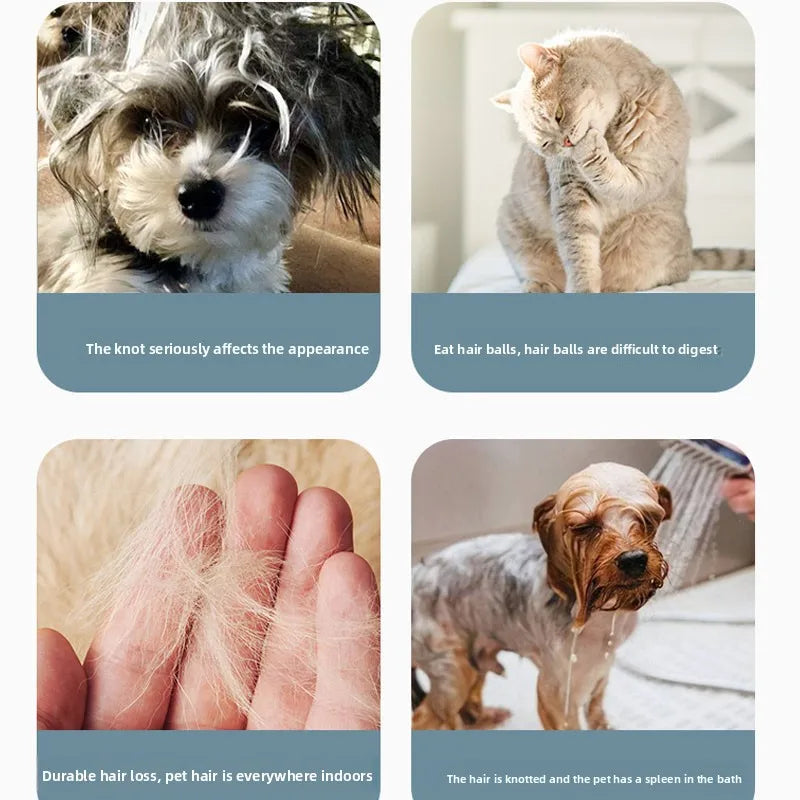3 In 1 Dog Grooming Comb