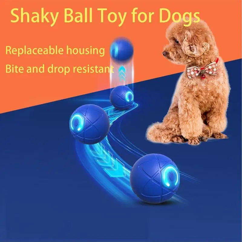 USB Rechargeable Dog Ball Toy