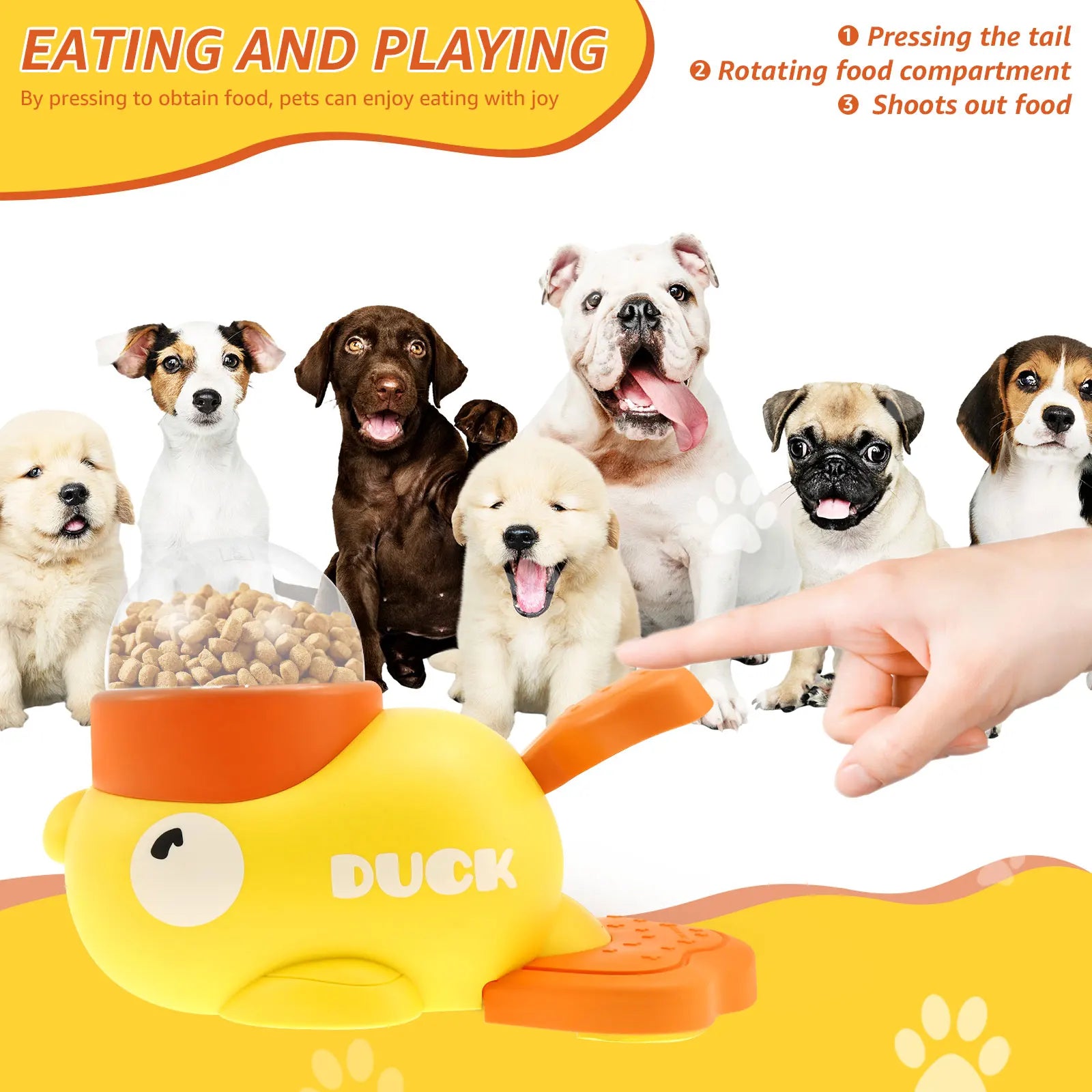 Interactive Dog Feeder
