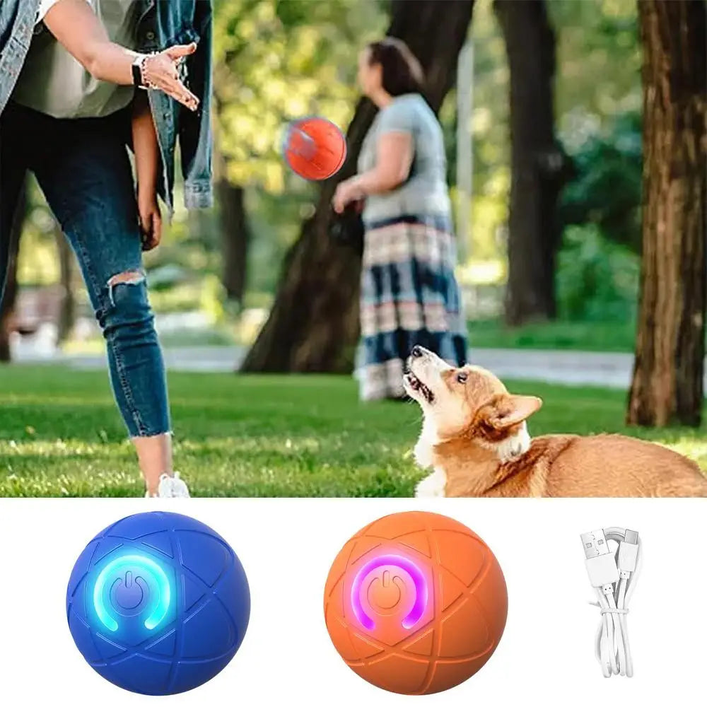 USB Rechargeable Dog Ball Toy