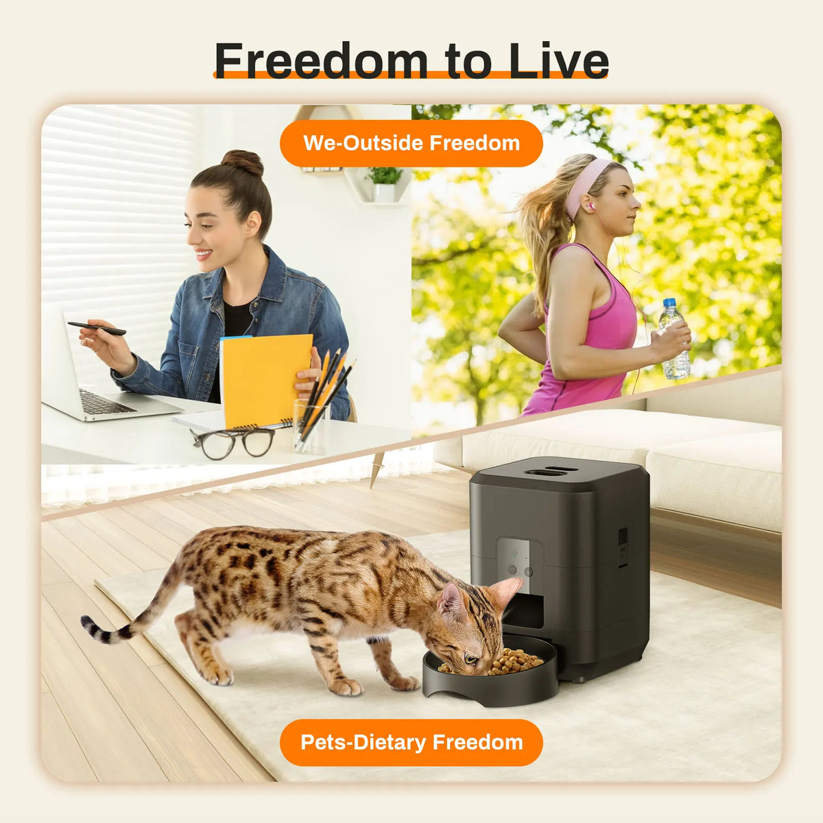 Automatic Pet Feeder with LCD Display & WiFi Control | Cat & Dog Food Dispenser