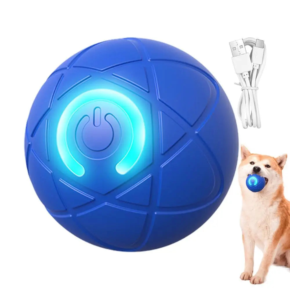 USB Rechargeable Dog Ball Toy