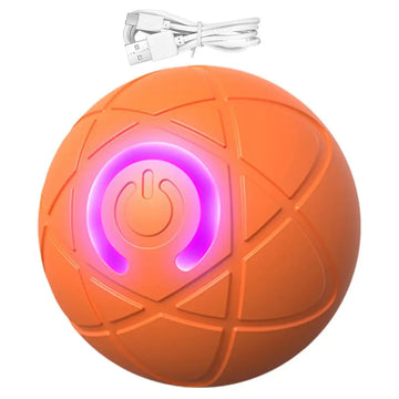 USB Rechargeable Dog Ball Toy