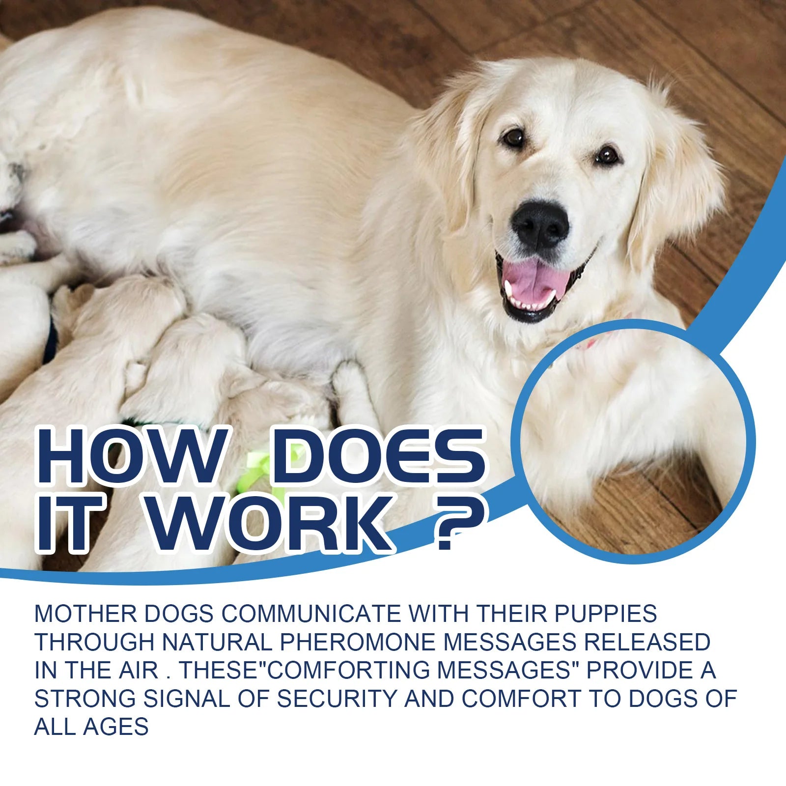 Dog Anxiety Relief Diffuser