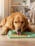 Silicone Licking Mat Lifestyle