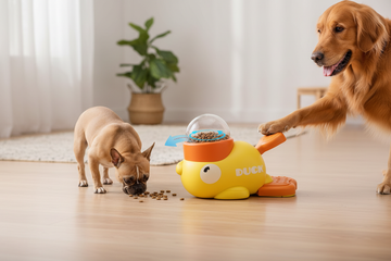 Interactive Dog Feeder Duck Lifestyle Hero