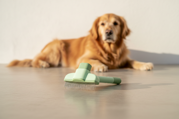 Pet Hair Remover Brush Hero Image - Exact Product